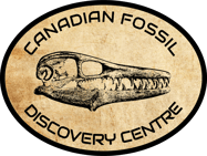 2020-11-25_09-07-16_1606316856