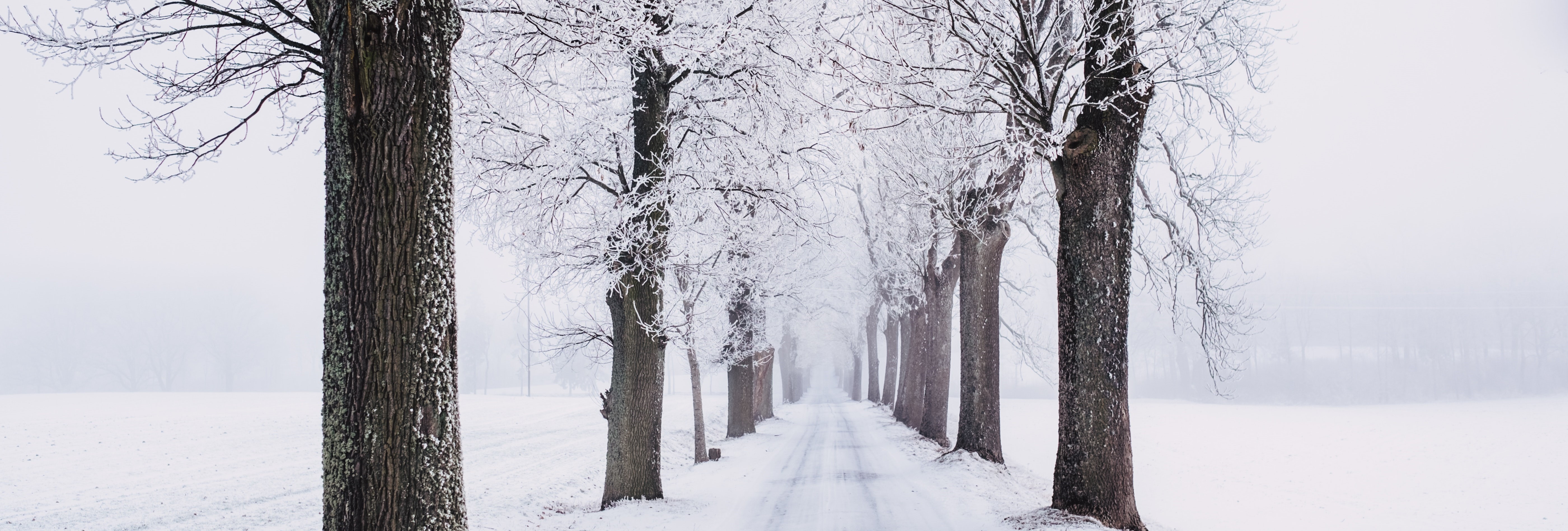 Snow Background