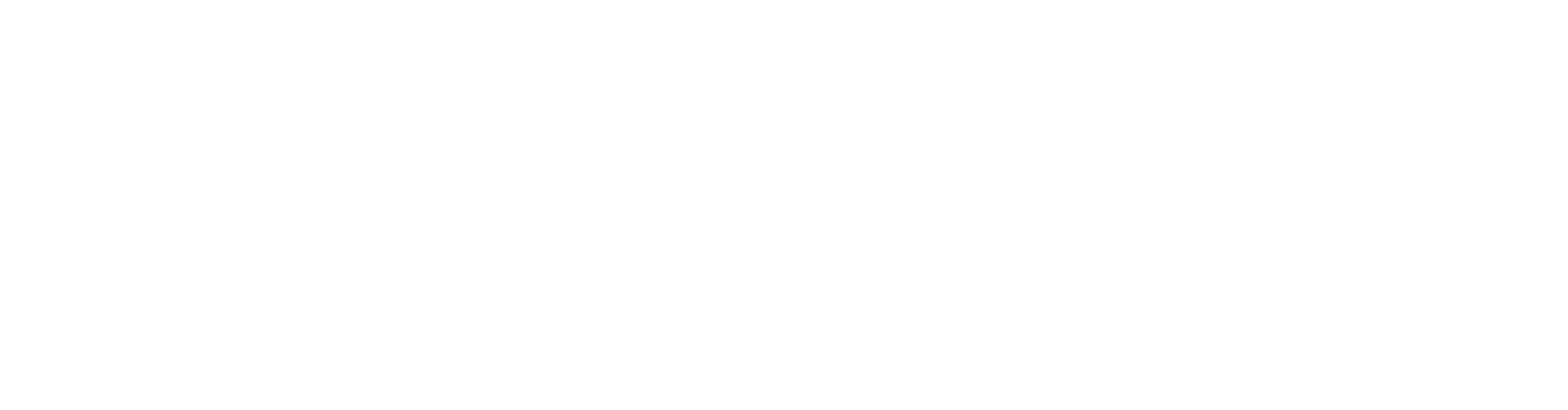 Optimize Wealth Logo