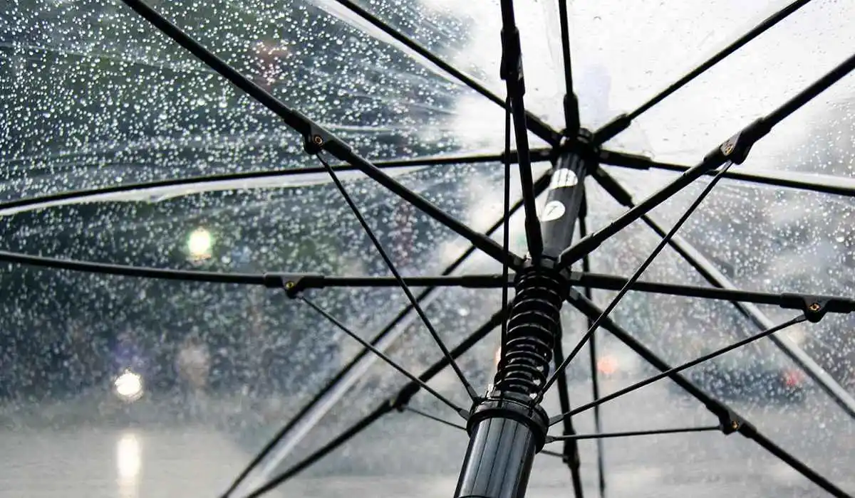 Translucent Umbrella with rain droplets on it 