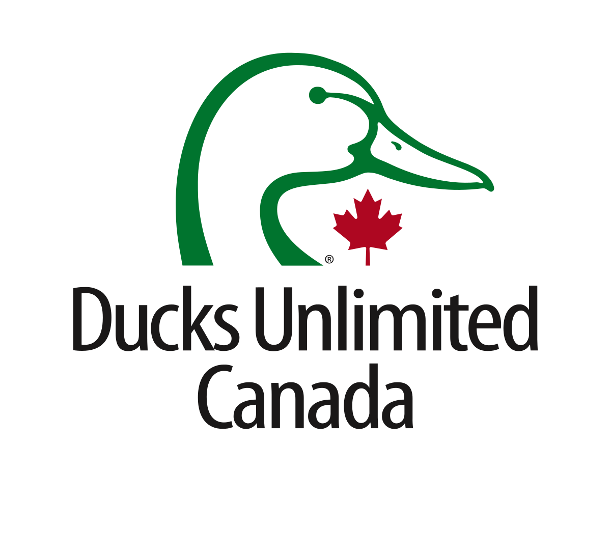 Ducks_Unlimited_Canada_logo.svg